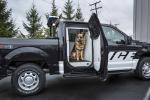 Ford F-150 Special Service Vehicle 2016 года